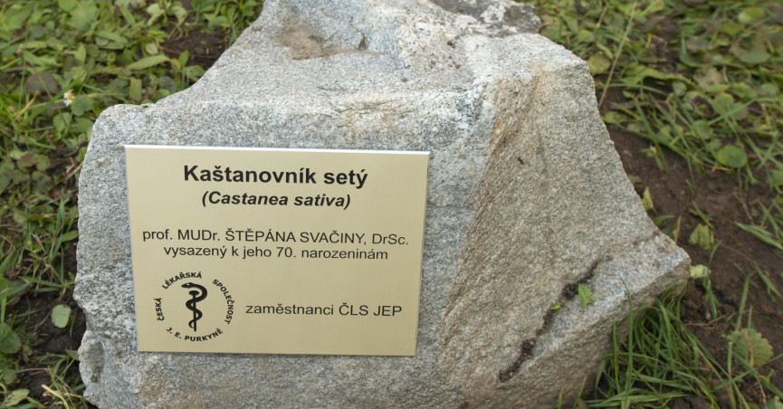 Předseda ČLS JEP pan prof. Svačina oslavil kulaté životní jubileum