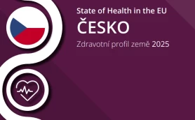 Zdravotní profil ČR 2025
